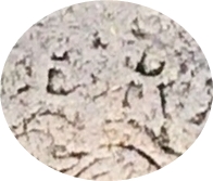 SHWH E HWH R.jpg