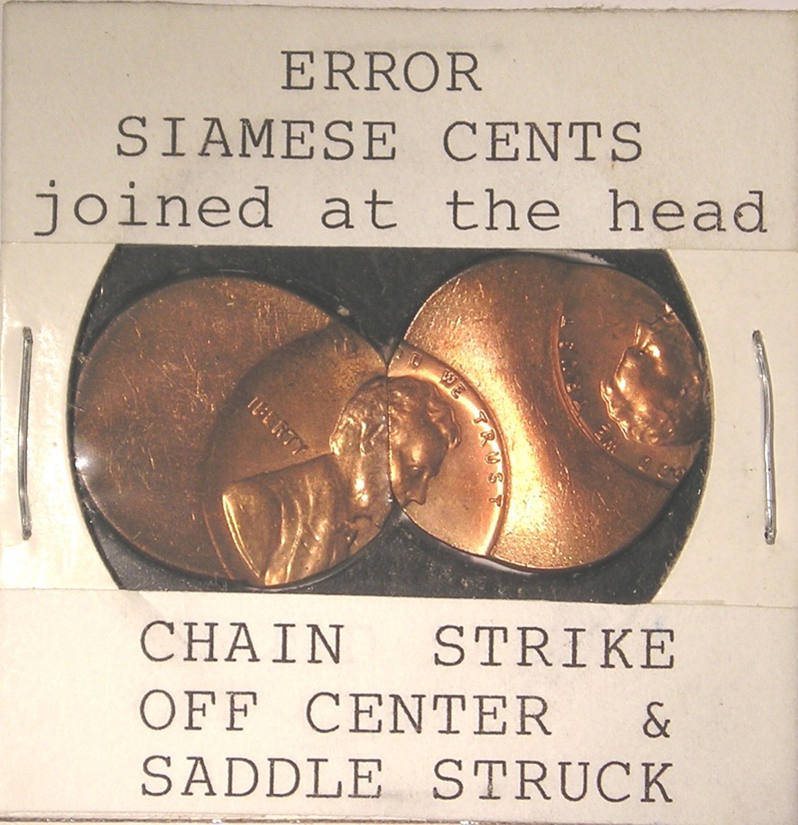 Siamese Cents.jpg