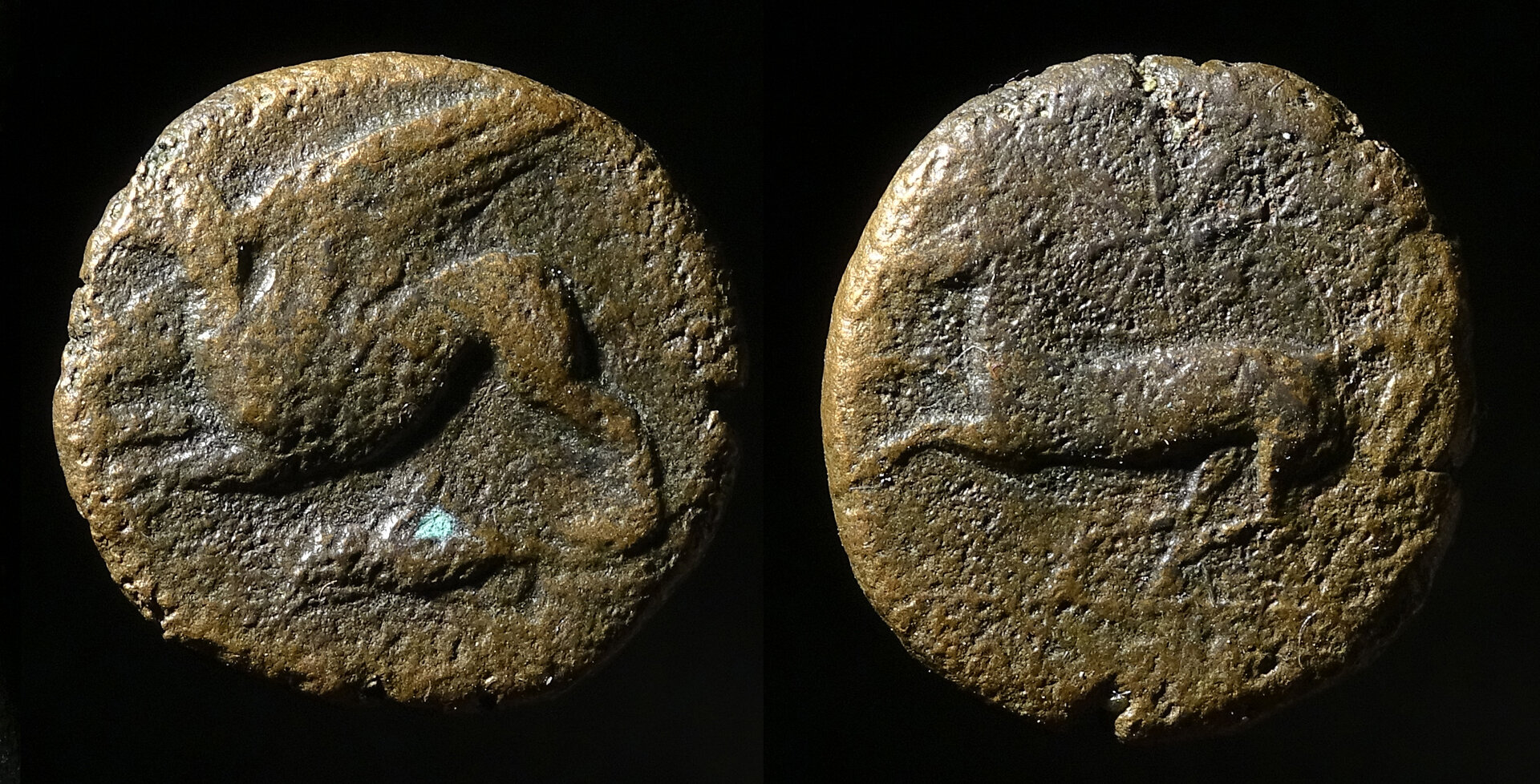 Sicilia Koinon griffon and horse.jpg