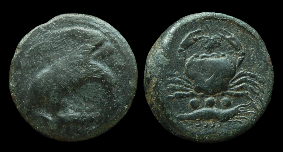 Sicily Akragas - crab eagle.jpg