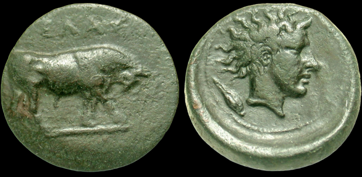SICILY - GELA Trias 2.jpg