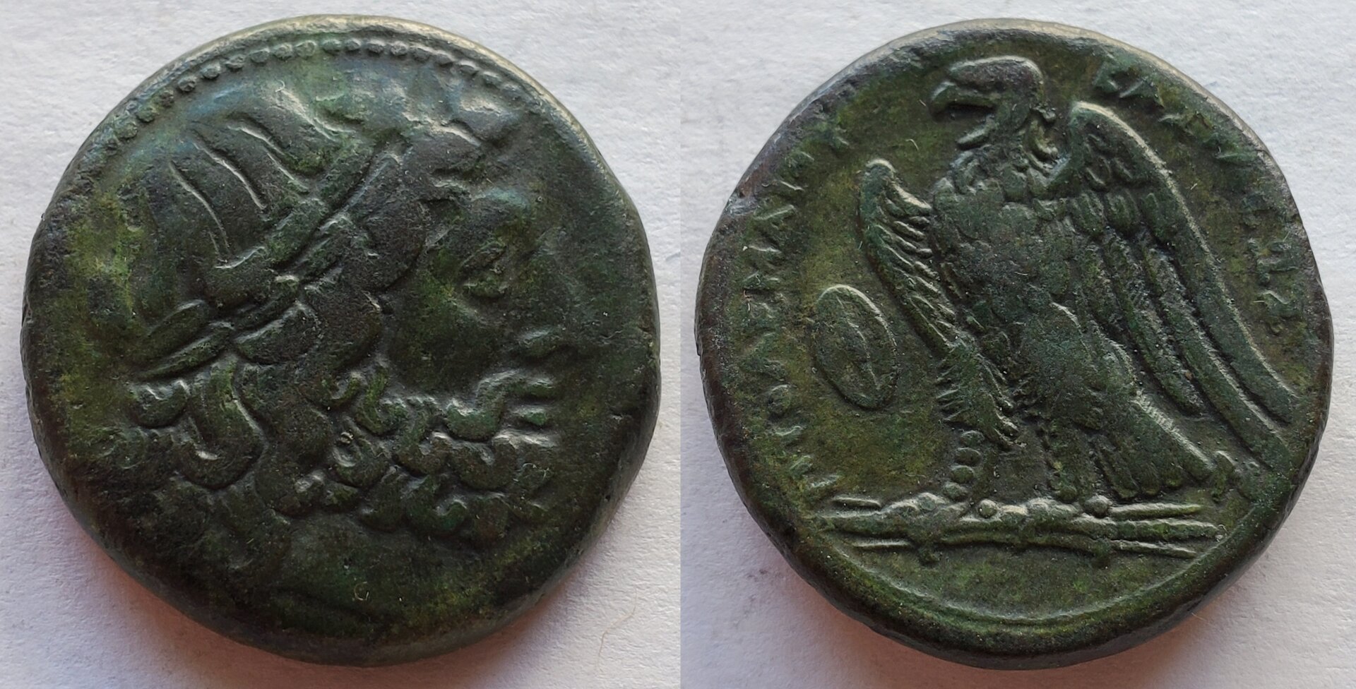 Sicily Hieron II for Ptolemy II AE26.jpg