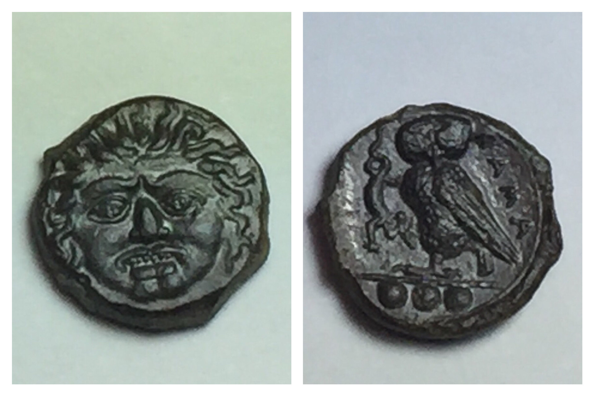 Sicily, Kamarina AE Gorgon Owl.jpg