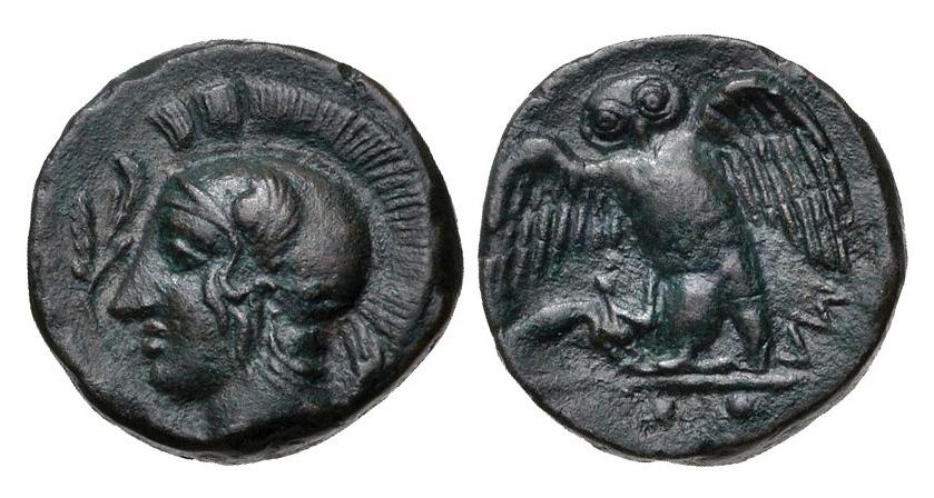Sicily Kamarina - Owl.jpg