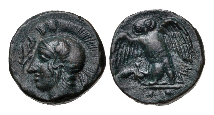 Sicily Kamarina - Owl.jpg