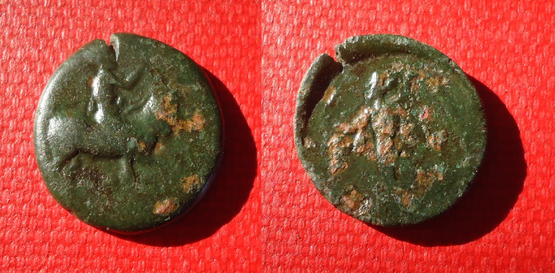 Sicily Pan Goat Sep 18 (0).jpg
