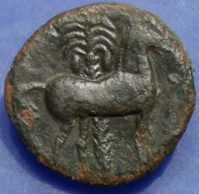 Sicily, Punic 1 rev.JPG