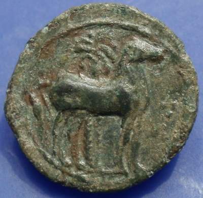 Sicily, Punic 2 rev.JPG
