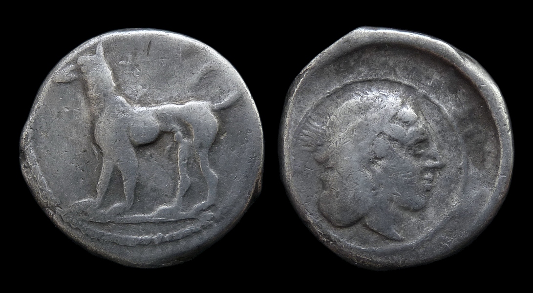Sicily Segesta - Didrachm.jpg