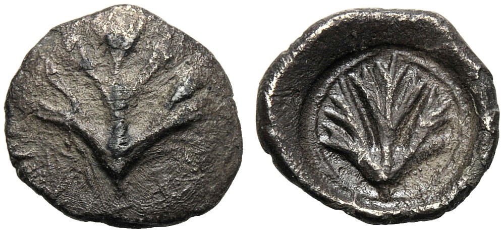 Sicily selinos ACR e28_76.jpg