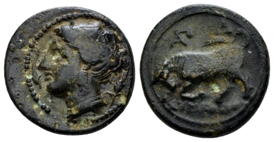Sicily Syracuse AE Naville 45 Lot 44 Ex EE Clain-Stefanelli Collection.jpg