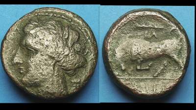 SICILY, SYRACUSE, HIERON II 2.jpg