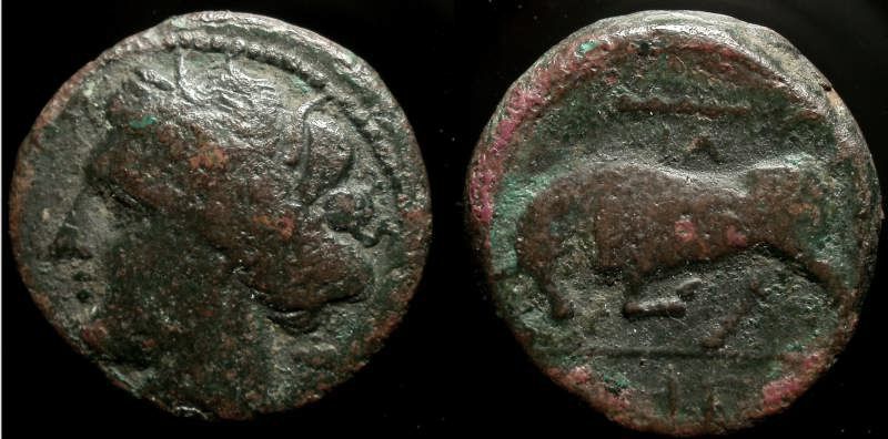 SICILY, SYRACUSE, HIERON II 2.jpg