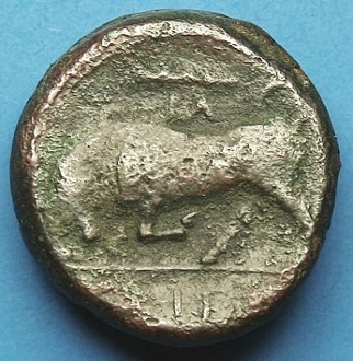 SICILY, SYRACUSE, HIERON II 2 Rev.jpg