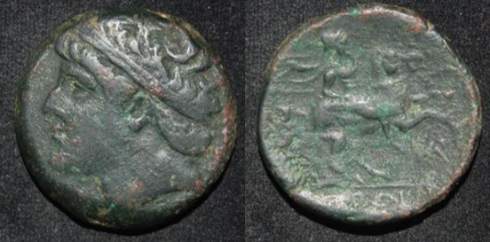 Sicily Syracuse Hieron II 275-215 bust Hieron Horseman Lance.jpg