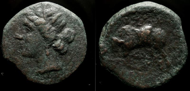 SICILY, SYRACUSE, HIERON II 3.jpg