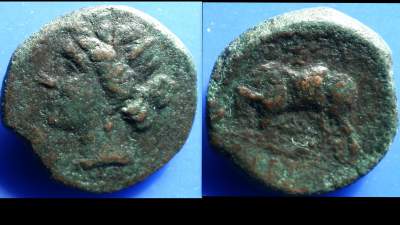 SICILY, SYRACUSE, HIERON II 3.jpg