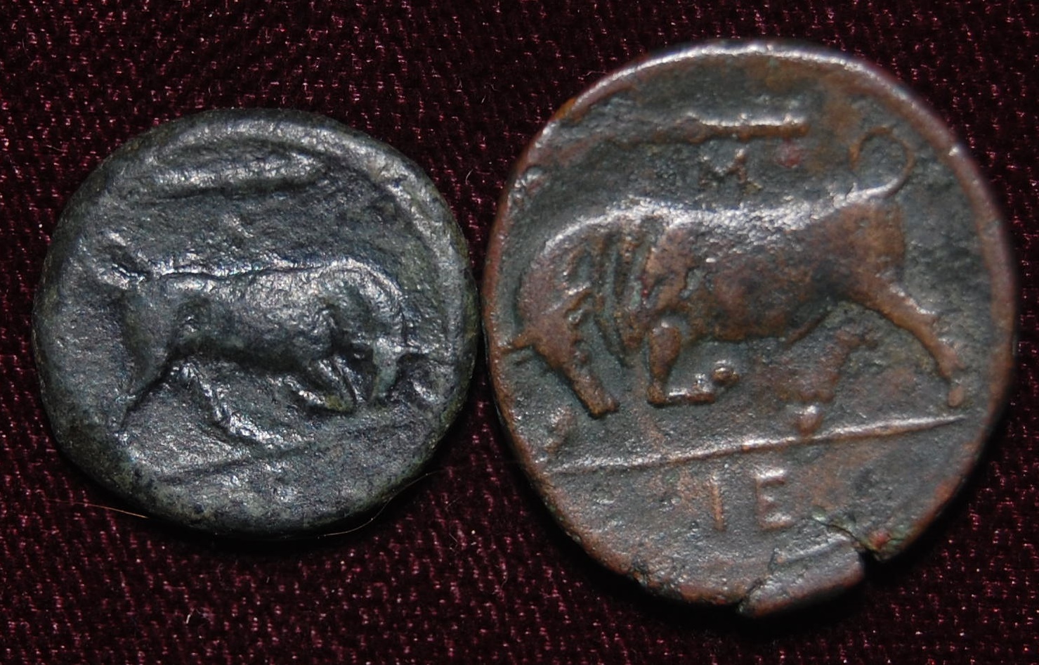 Sicily Syracuse Hieron II compare Butting Bulls Right and Left Rev-crop.jpg