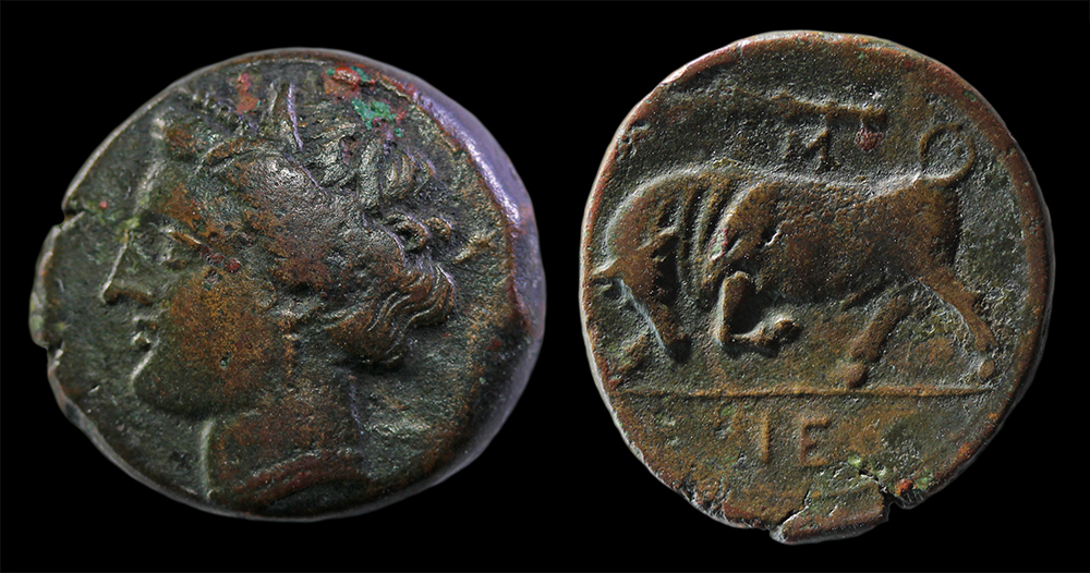 SICILY-Syracuse-HieronII-AE20-SML22-TIF.jpg