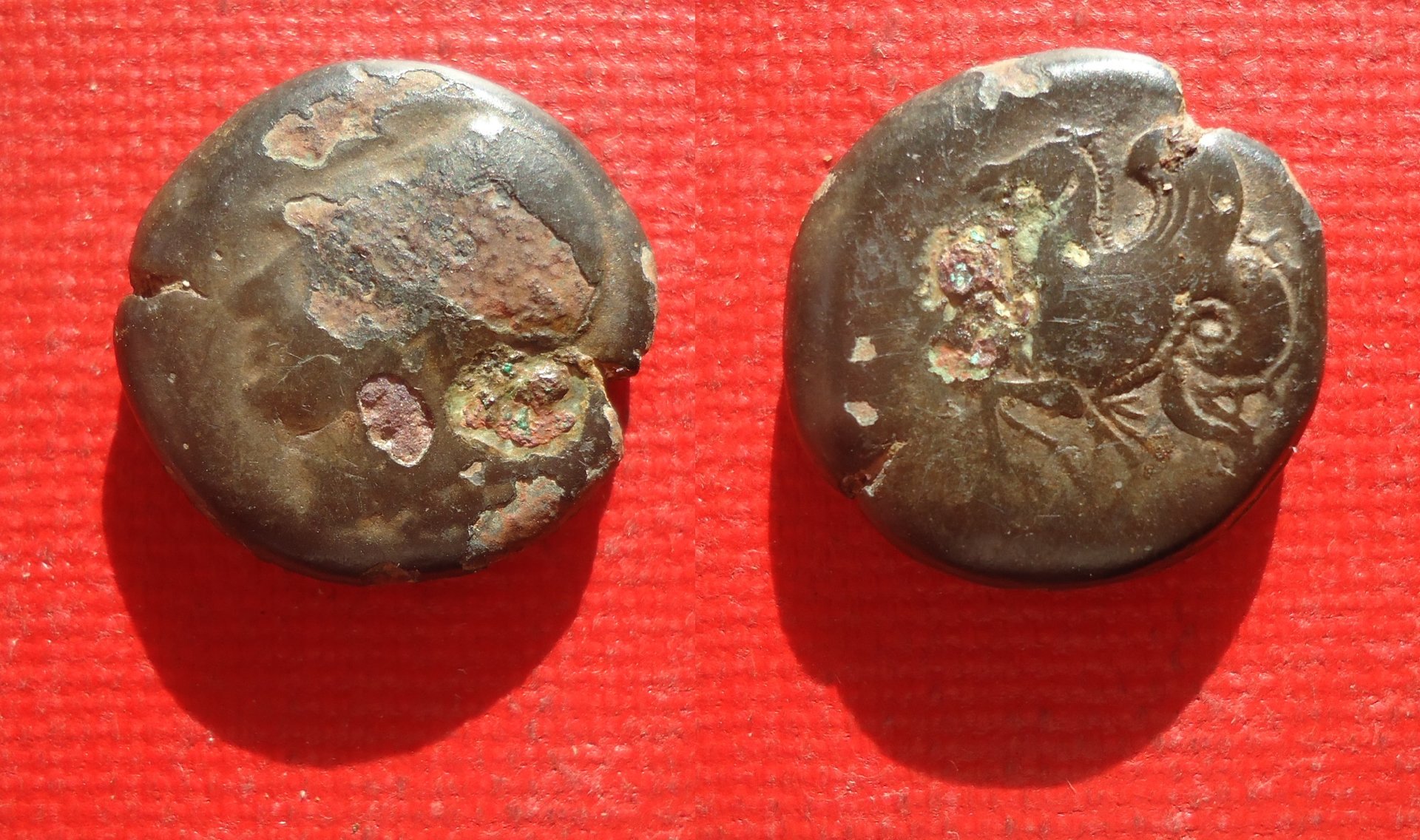 Sicily Syracuse - Hippocamp AE lot Oct 2019 (0).jpg