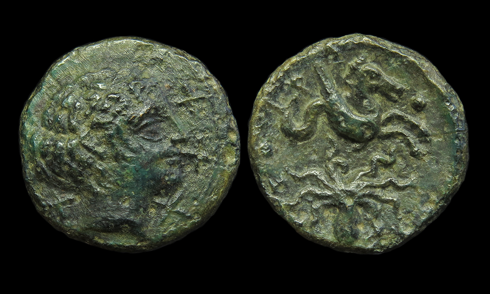 SicilySyracuseTetras-Hippocamp-Octopus.jpg