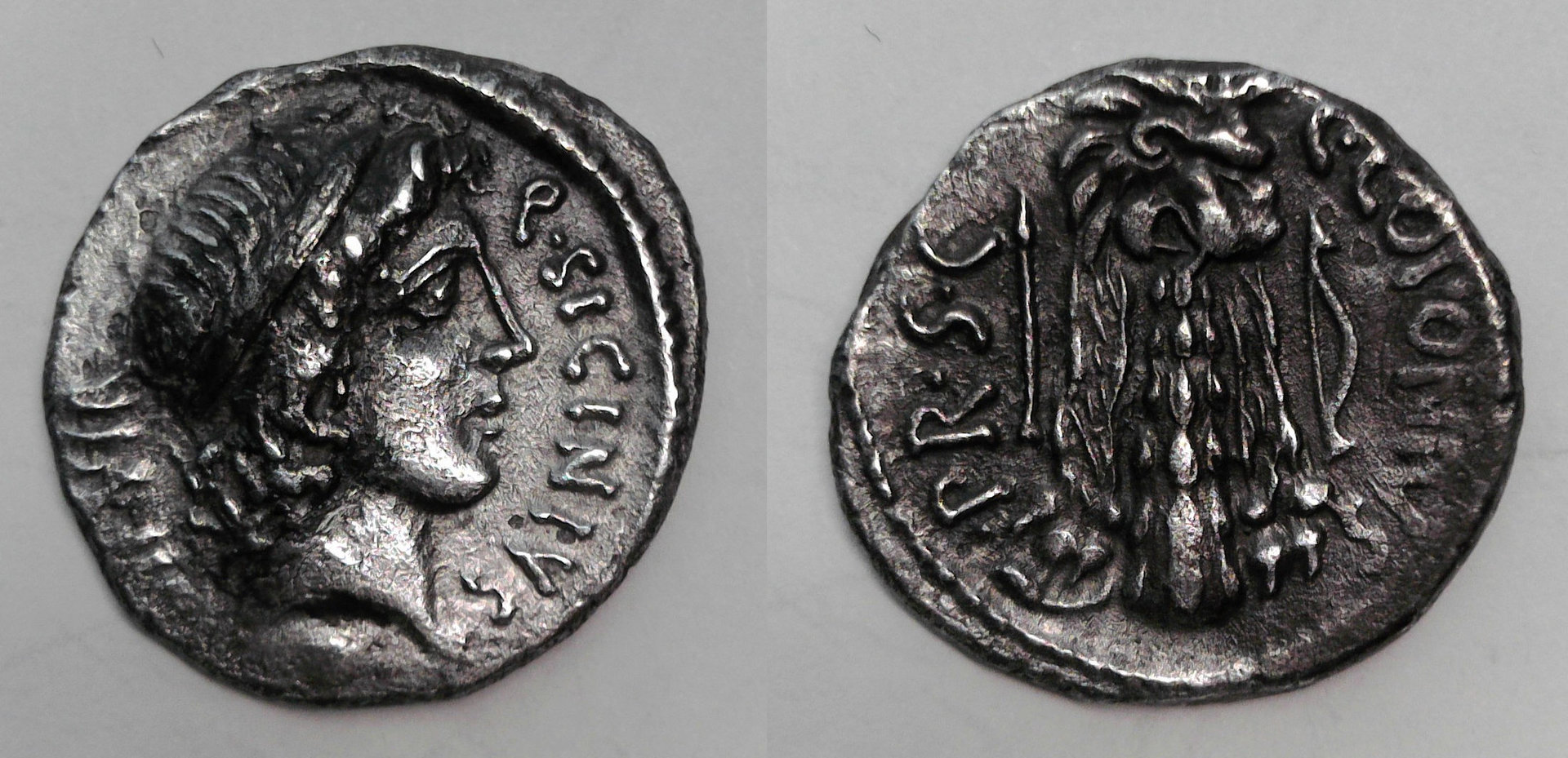 Sicinius Coponius.jpg