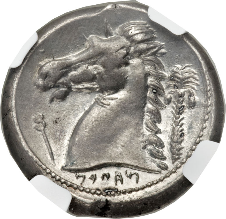 Siculo-Punic.jpg
