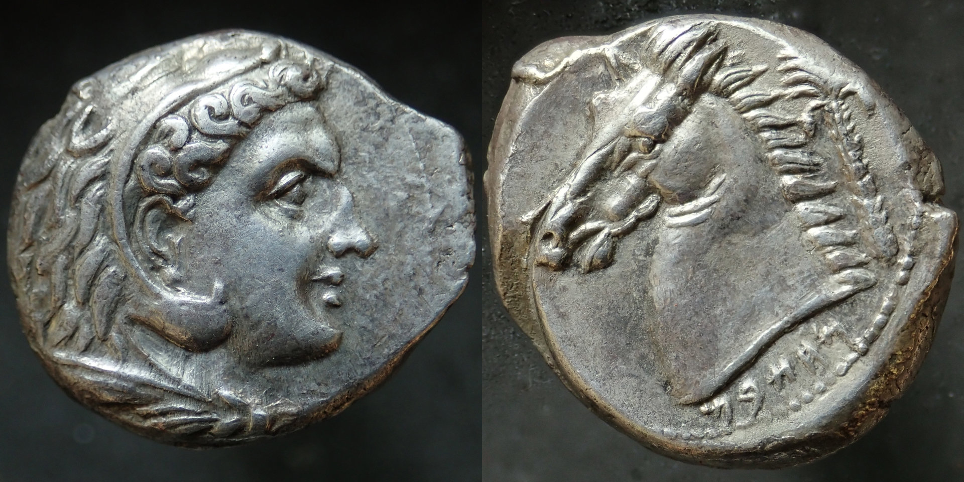 Siculo Punic tetradrachm.jpg