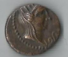 SidonGalley    Rouvier1293.JPG