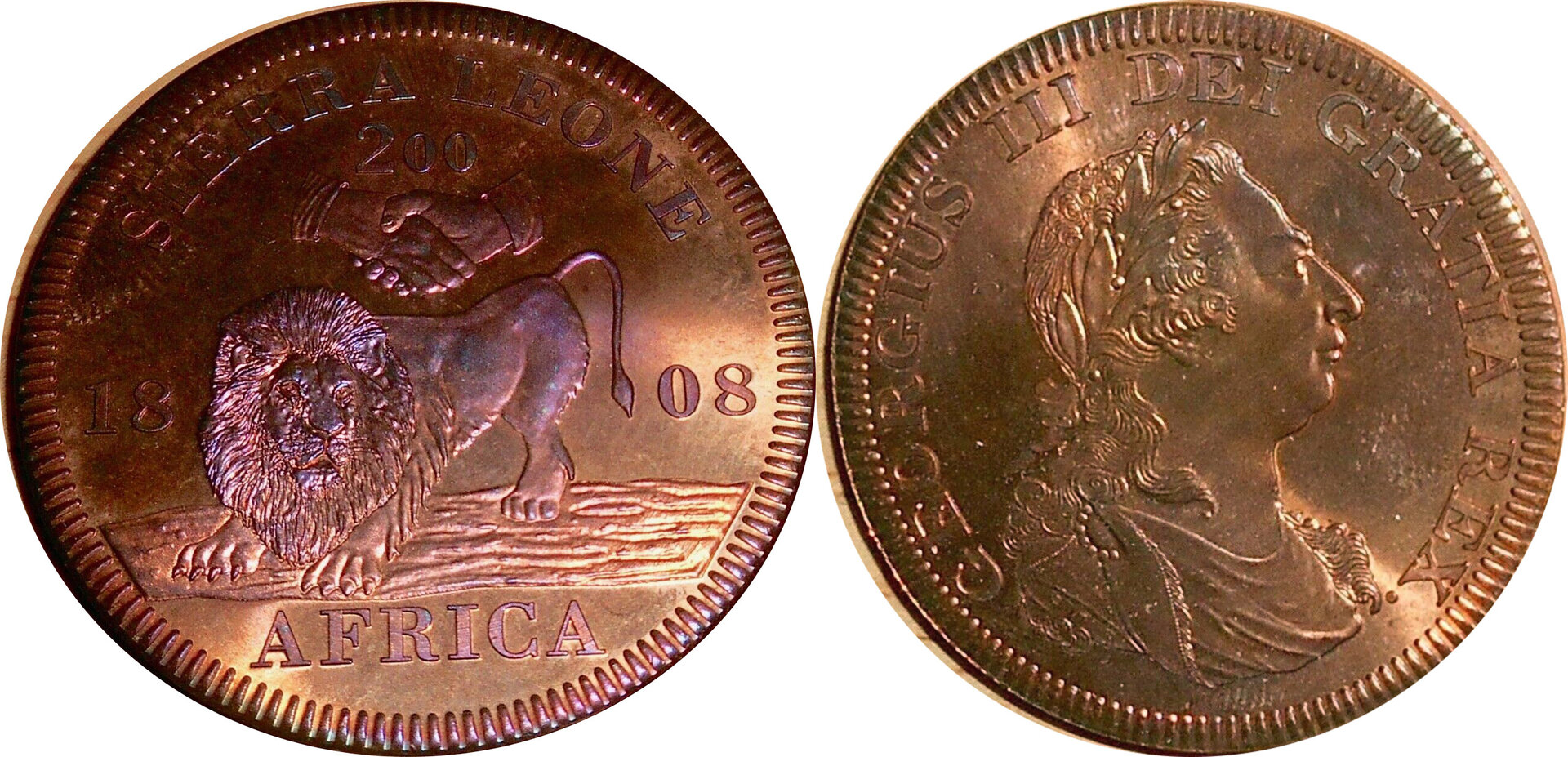 Sie180804.jpg