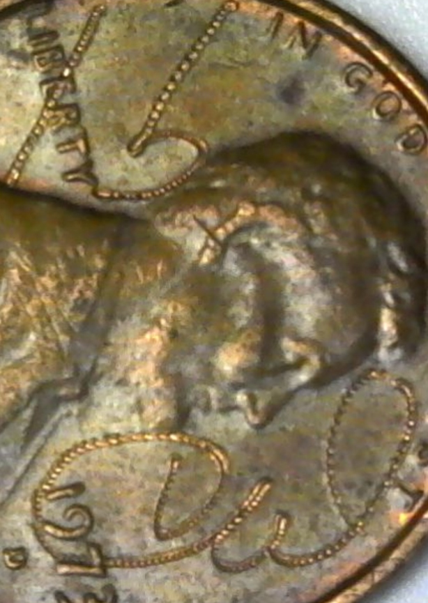 signature of 91 cal1.jpg