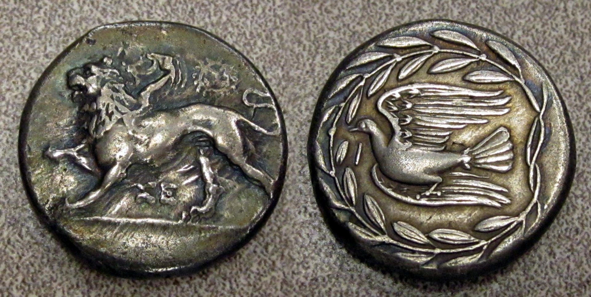 Sikyon Stater Collage aa.jpg