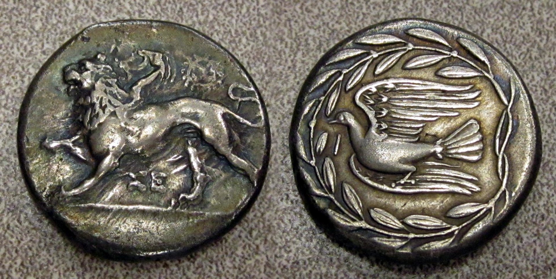 Sikyon Stater Collage.jpg