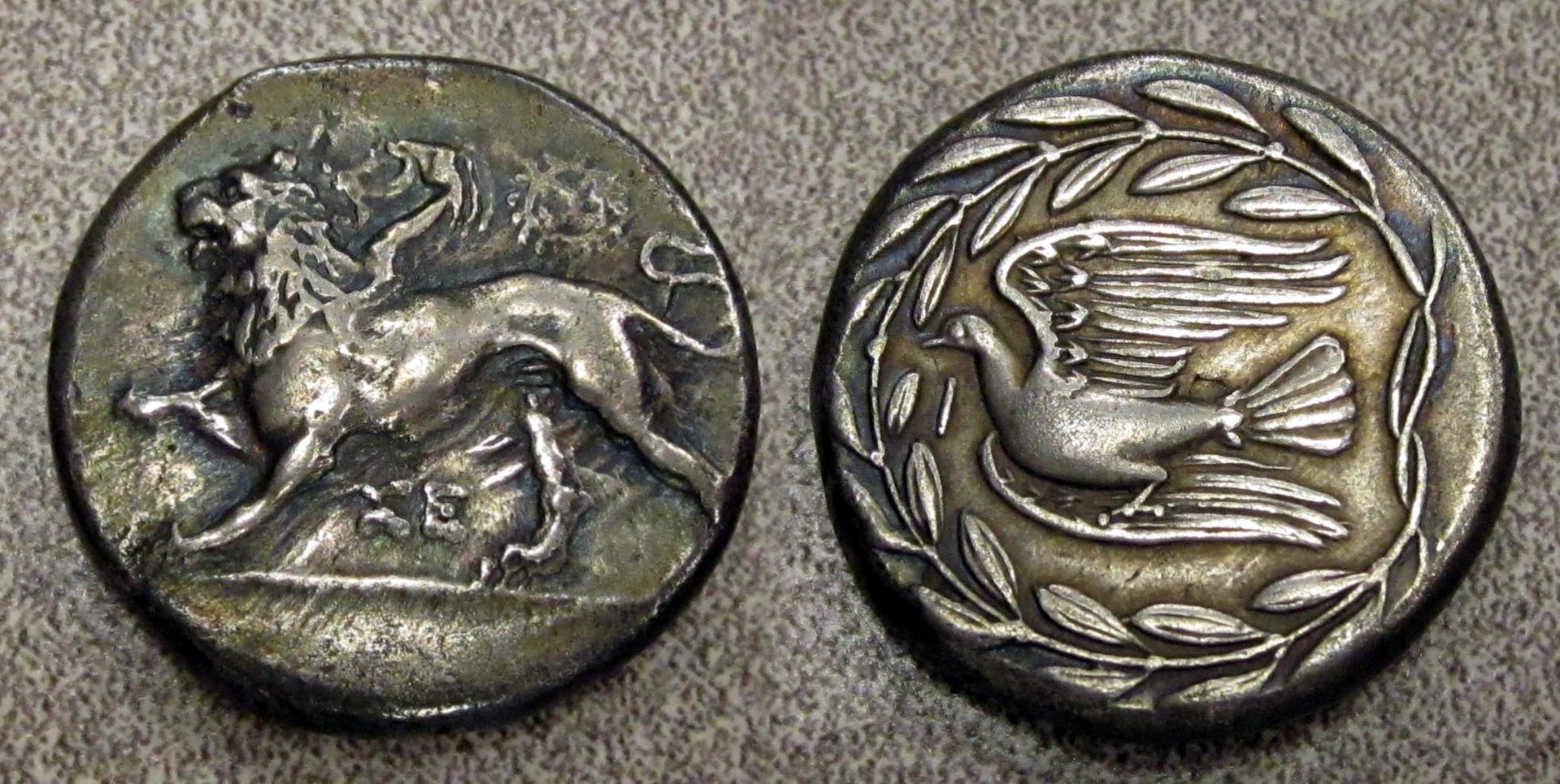 Sikyon Stater Collage.jpg
