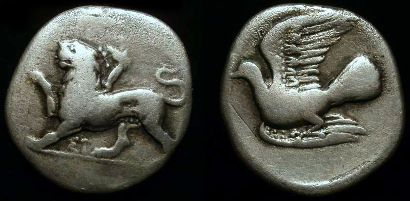 SIKYONIA SIKYON.jpg
