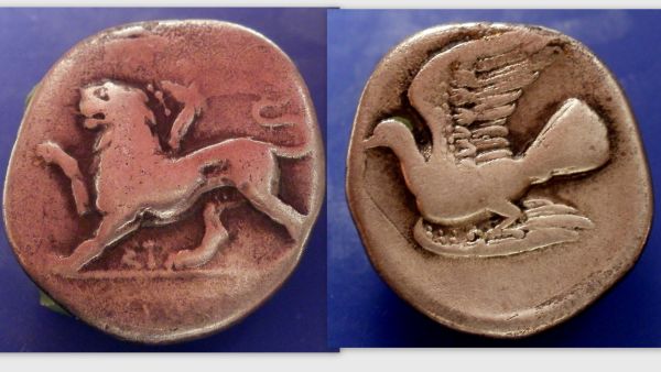 Sikyonia Sikyon.jpg