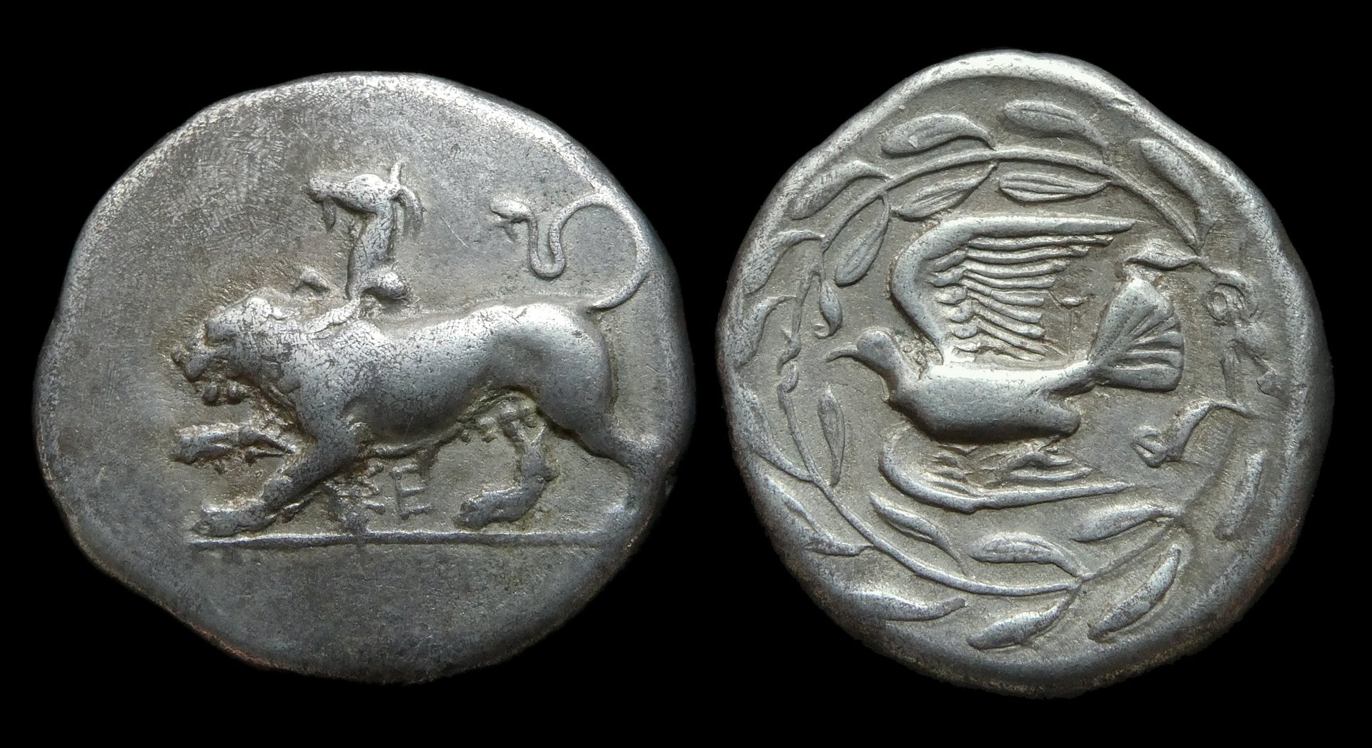 SIKYONIA Sikyon - Stater ex BCD New 1016.jpg