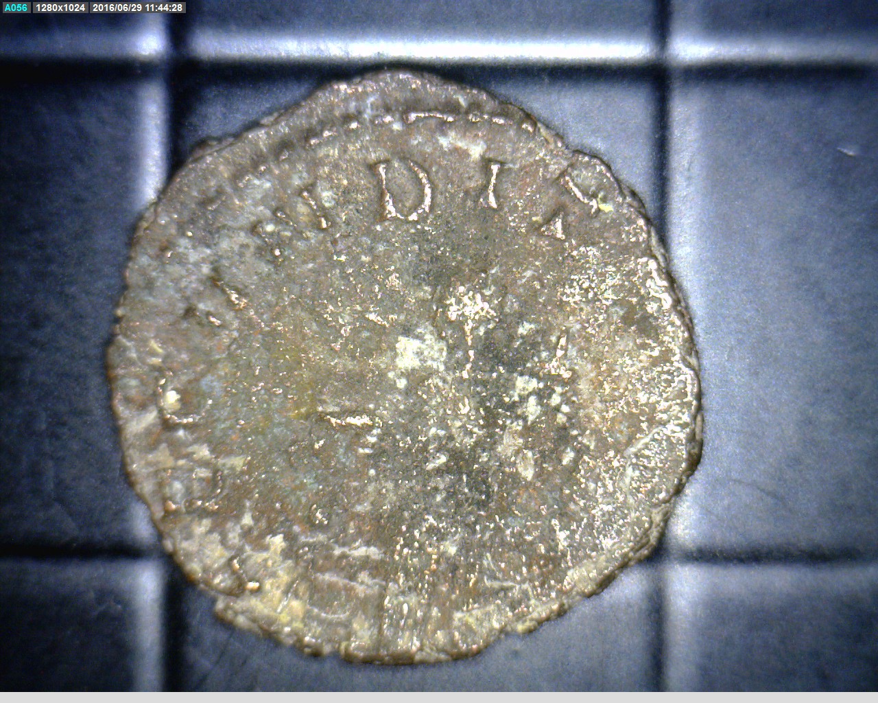 sil888.jpg