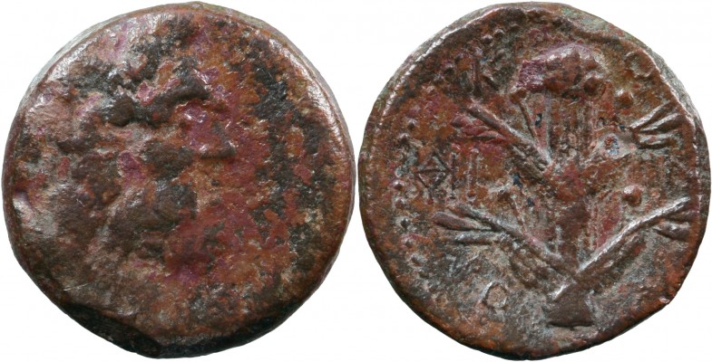 Silphion_01.jpg