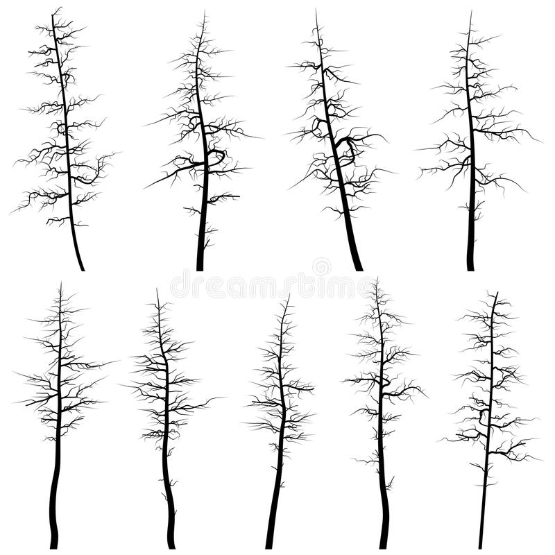 siluette-di-vecchi-alberi-senza-foglie-ramo-secco-29304657.jpg