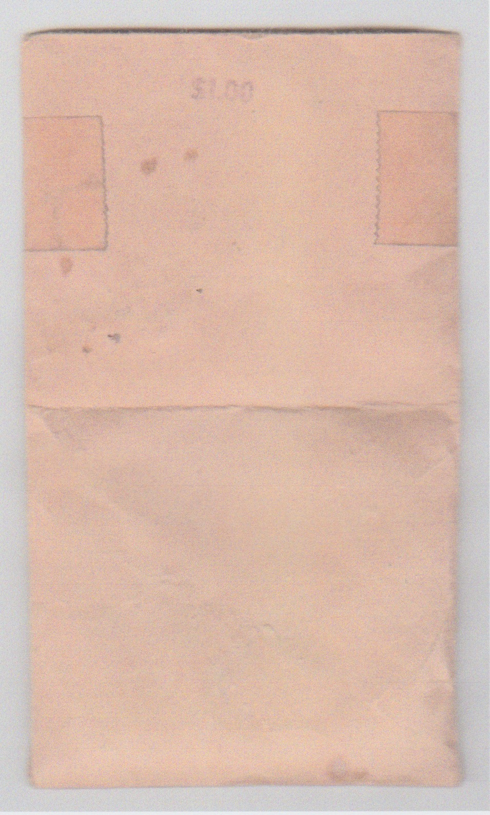 silver baggie 3.jpeg