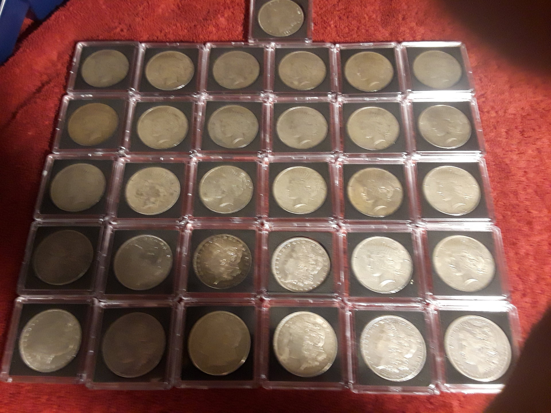 silver dollars.jpg