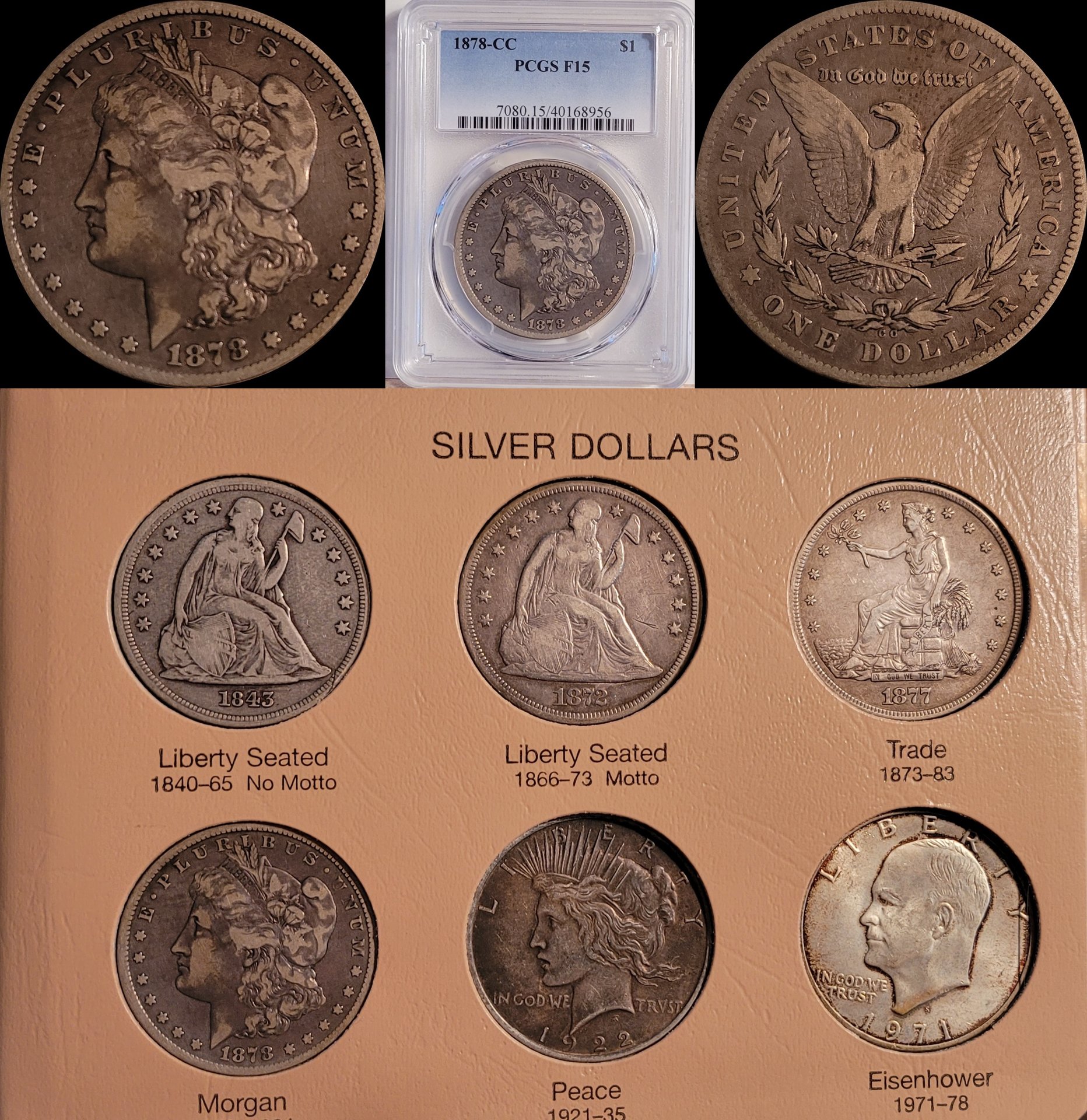 Silver DollarsAA.jpg