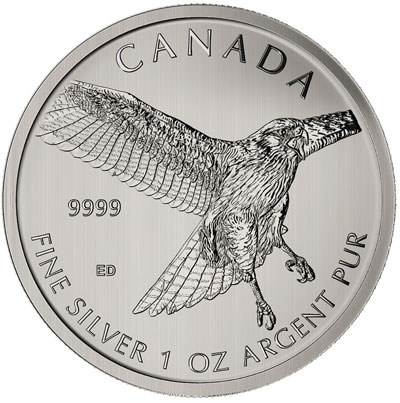 silver-hawk.jpg