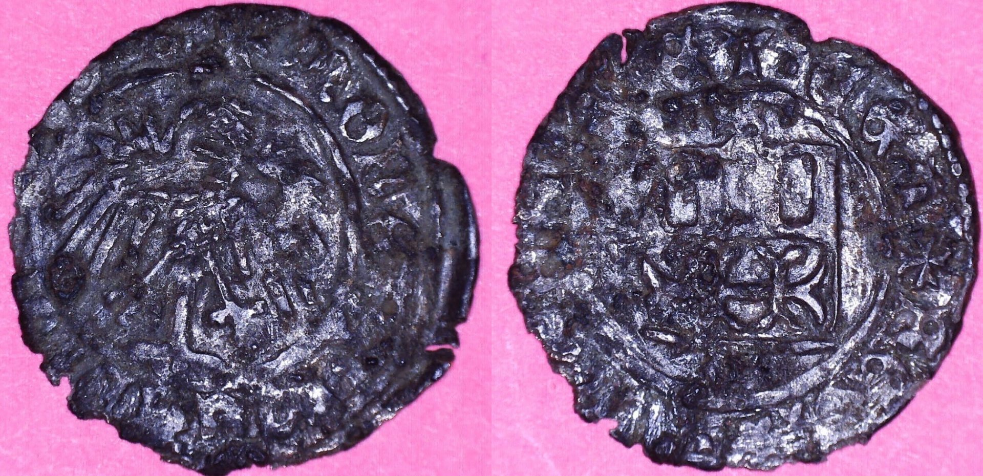 silver sistertius.jpg