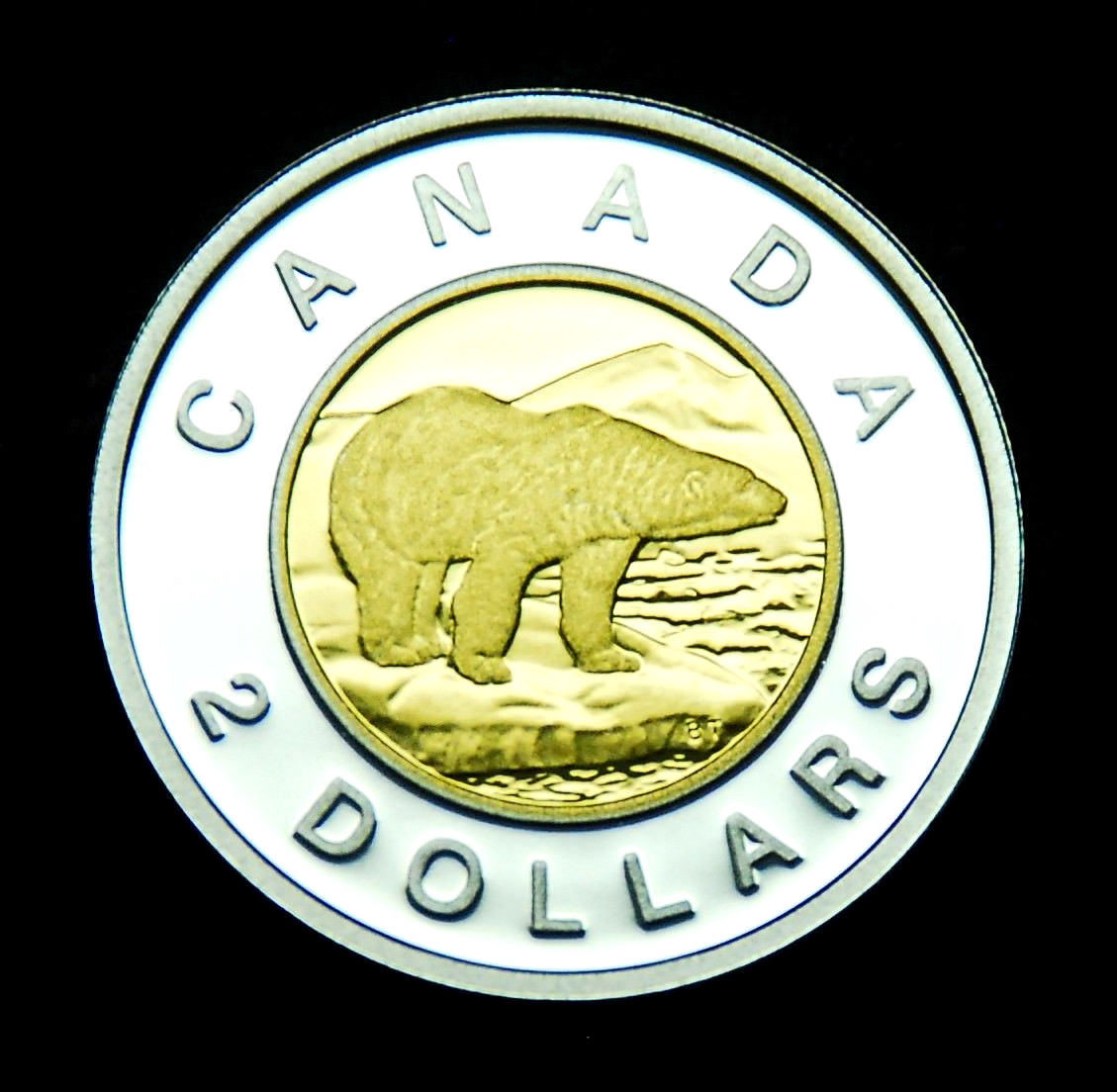 silver toonie.jpg