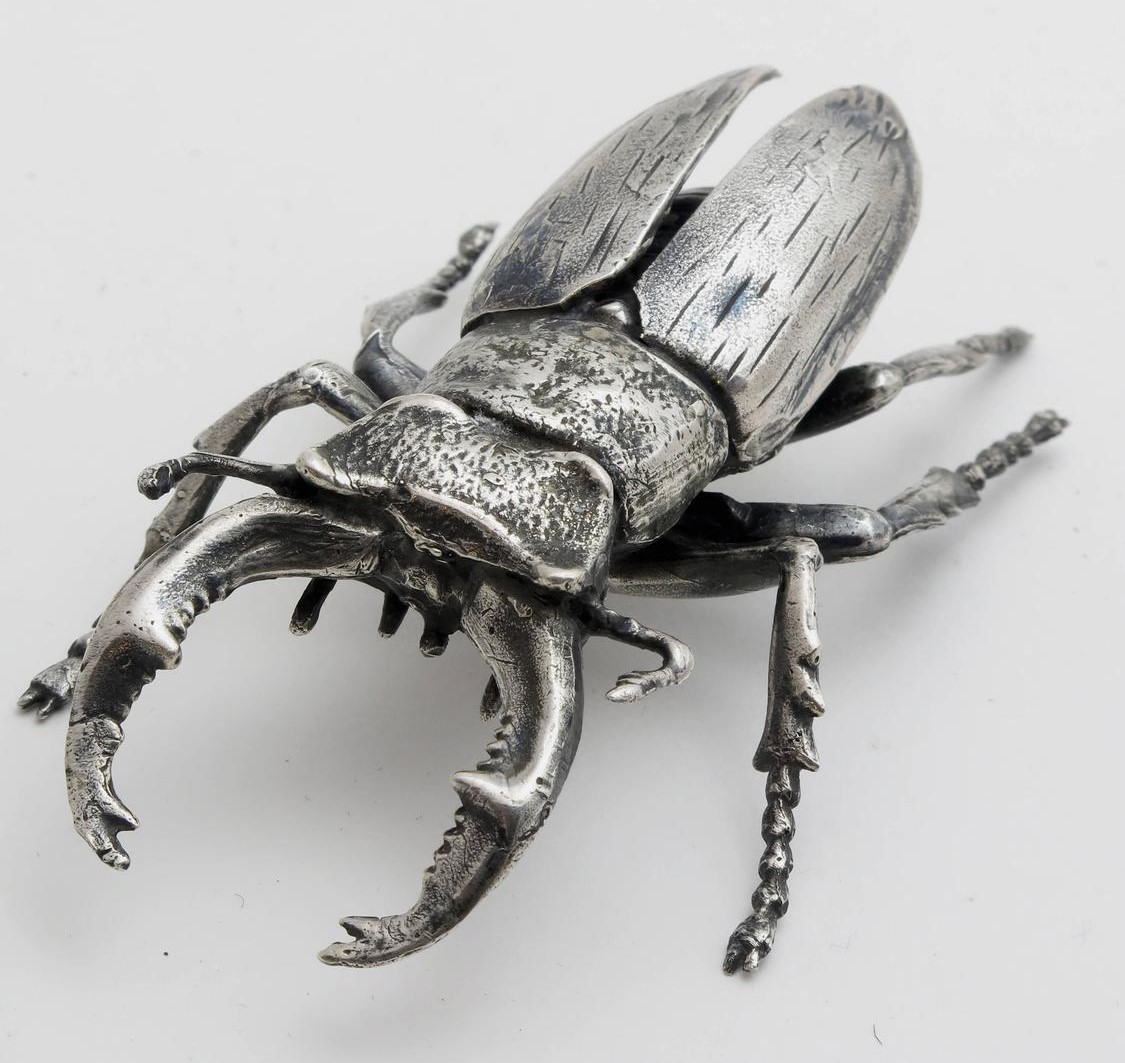 silver_bug_beetle_3_z.jpg