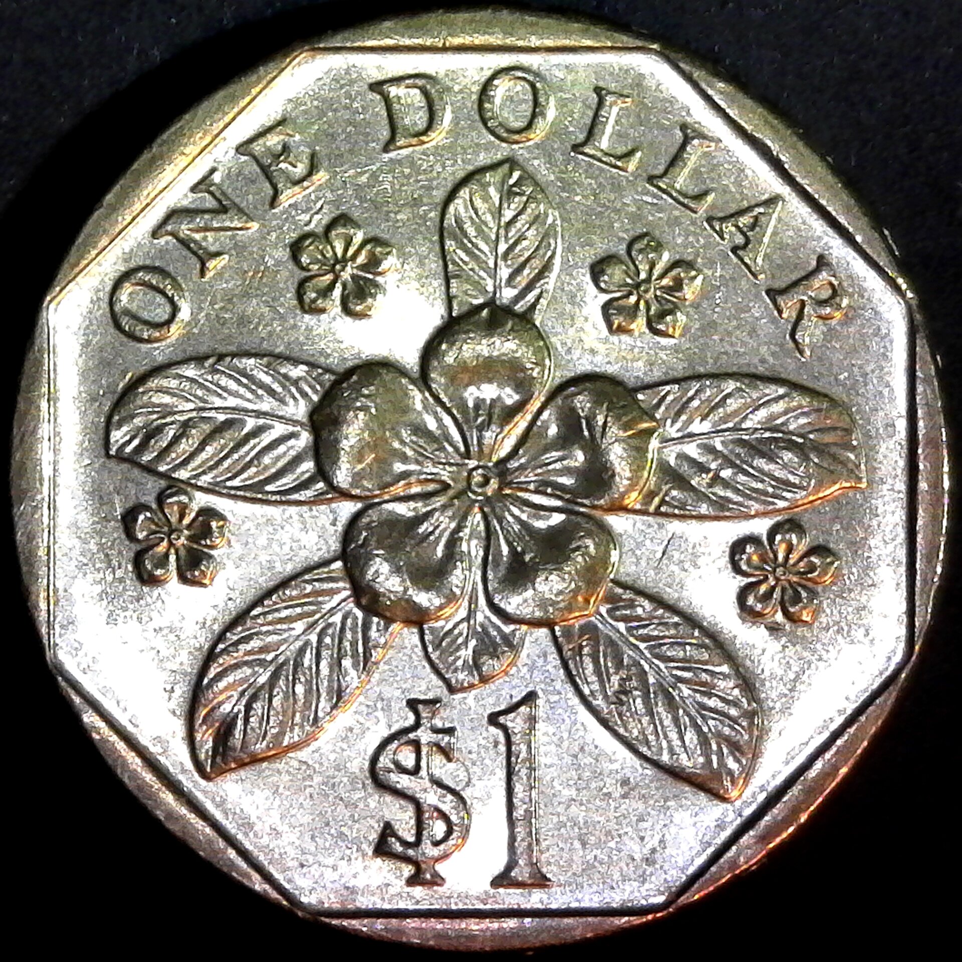 Singapore 1 Dollar 2010 rev.jpg