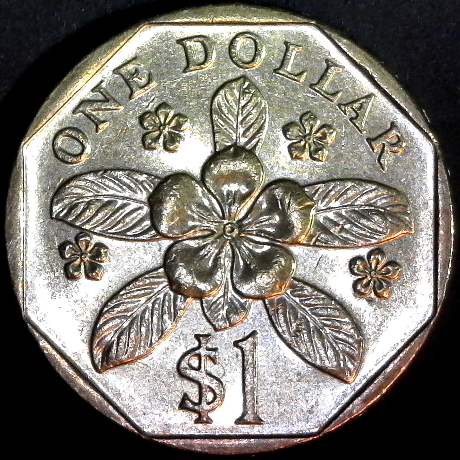 Singapore 1 Dollar 2010 rev.jpg