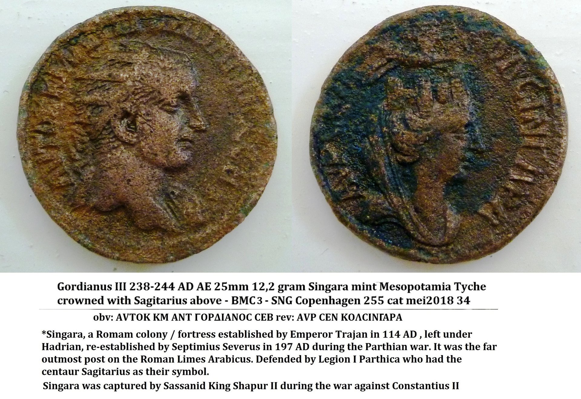 singara gordianus beschrijving43.jpg